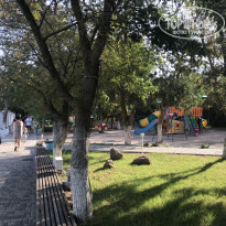 фото из отзыва ID 2049901