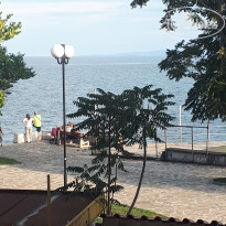 фото из отзыва ID 2049940