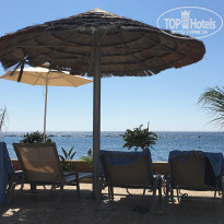 фото из отзыва ID 2049894