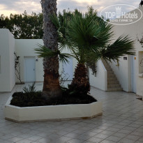 фото из отзыва ID 2049951