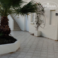 фото из отзыва ID 2049951