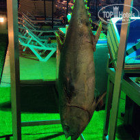 фото из отзыва ID 2049951