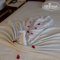 фото из отзыва ID 2049287