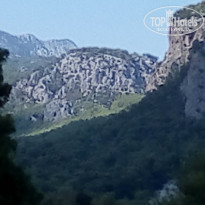 фото из отзыва ID 2049142