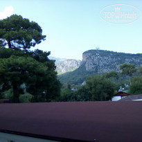 фото из отзыва ID 2049142