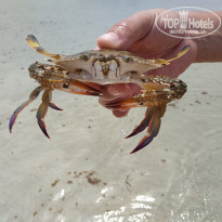 фото из отзыва ID 2048466