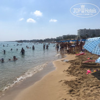 фото из отзыва ID 2049293