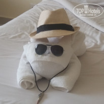 фото из отзыва ID 2048270