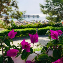 фото из отзыва ID 2045779