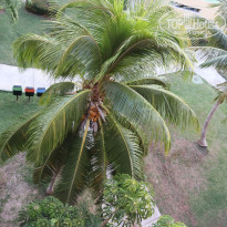 фото из отзыва ID 2044616