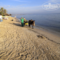 фото из отзыва ID 2049280