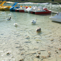 фото из отзыва ID 2043282