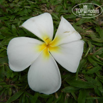 фото из отзыва ID 2043085