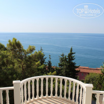 фото из отзыва ID 2045130