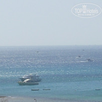 фото из отзыва ID 20519