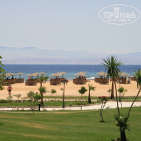 фото из отзыва ID 205119