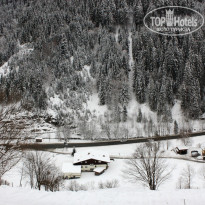 фото из отзыва ID 205646