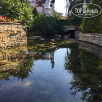 фото из отзыва ID 2050150