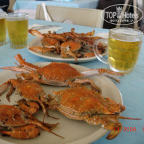 фото из отзыва ID 2050084