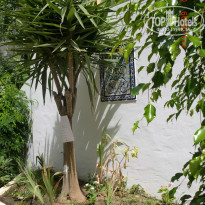 фото из отзыва ID 2050084