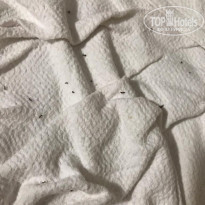 фото из отзыва ID 2050274