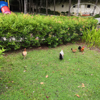 фото из отзыва ID 2050244