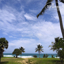 фото из отзыва ID 2050244