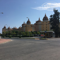 фото из отзыва ID 2050327