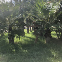 фото из отзыва ID 2050375