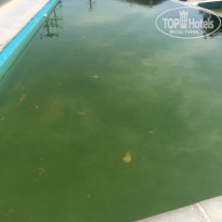 фото из отзыва ID 2050578