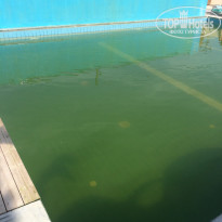 фото из отзыва ID 2050578