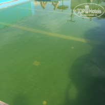 фото из отзыва ID 2050578