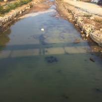 фото из отзыва ID 2050578