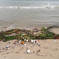 фото из отзыва ID 2050749