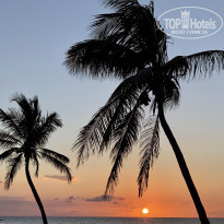 фото из отзыва ID 2050756