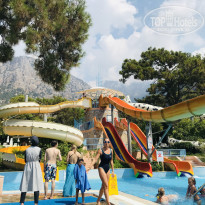 фото из отзыва ID 2050794