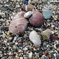 фото из отзыва ID 2050797