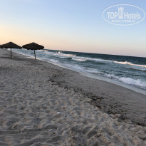 фото из отзыва ID 2050806