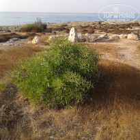 фото из отзыва ID 2050917