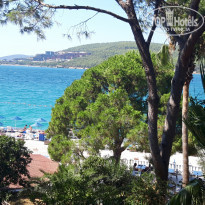 фото из отзыва ID 2050942