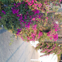 фото из отзыва ID 2050942