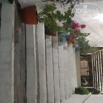 фото из отзыва ID 2050942