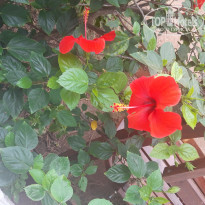 фото из отзыва ID 2050942