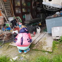 фото из отзыва ID 2051101