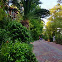 фото из отзыва ID 2050269