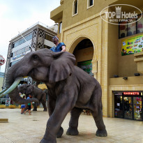 фото из отзыва ID 2051007