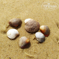 фото из отзыва ID 2051007