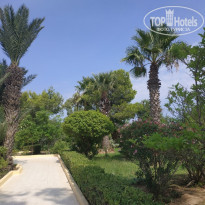 фото из отзыва ID 2051181