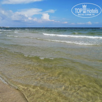 фото из отзыва ID 2051205