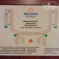 фото из отзыва ID 2051258